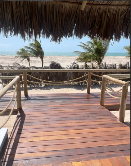 Vista do alpendre para os coqueiros e o mar